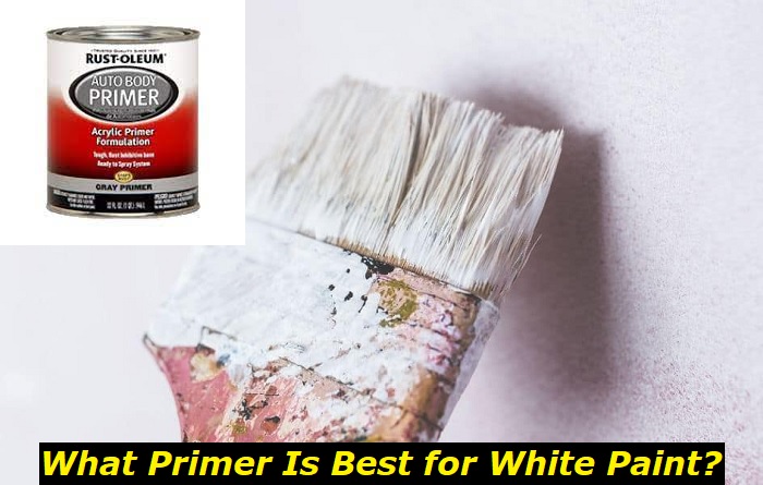 What Color Primer To Use For White Paint? Important Choice